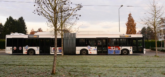 bus_arahm_pano