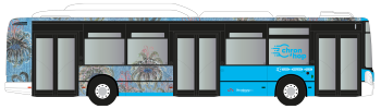 Habillage Chron hop_Camille_site_VF