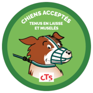 Sticker porte chien en RVB